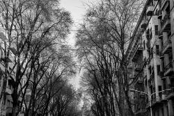 Milano, C.so Buenos Aires - Canon EOS 5D Mk2 Milano, C.so Buenos Aires - Canon EOS 5D Mk2